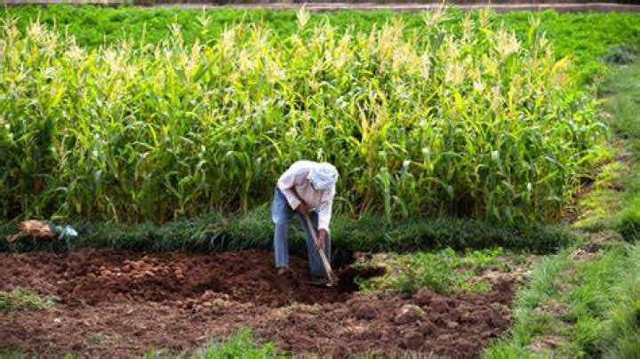 Where does intensification mean?